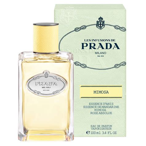 perfumy prada mimosa|infusion de mimosa.